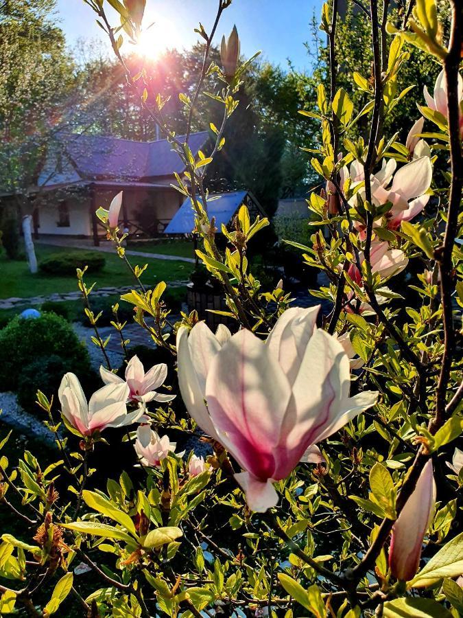 Villa Zenko บรูคโฮโวตชี ภายนอก รูปภาพ