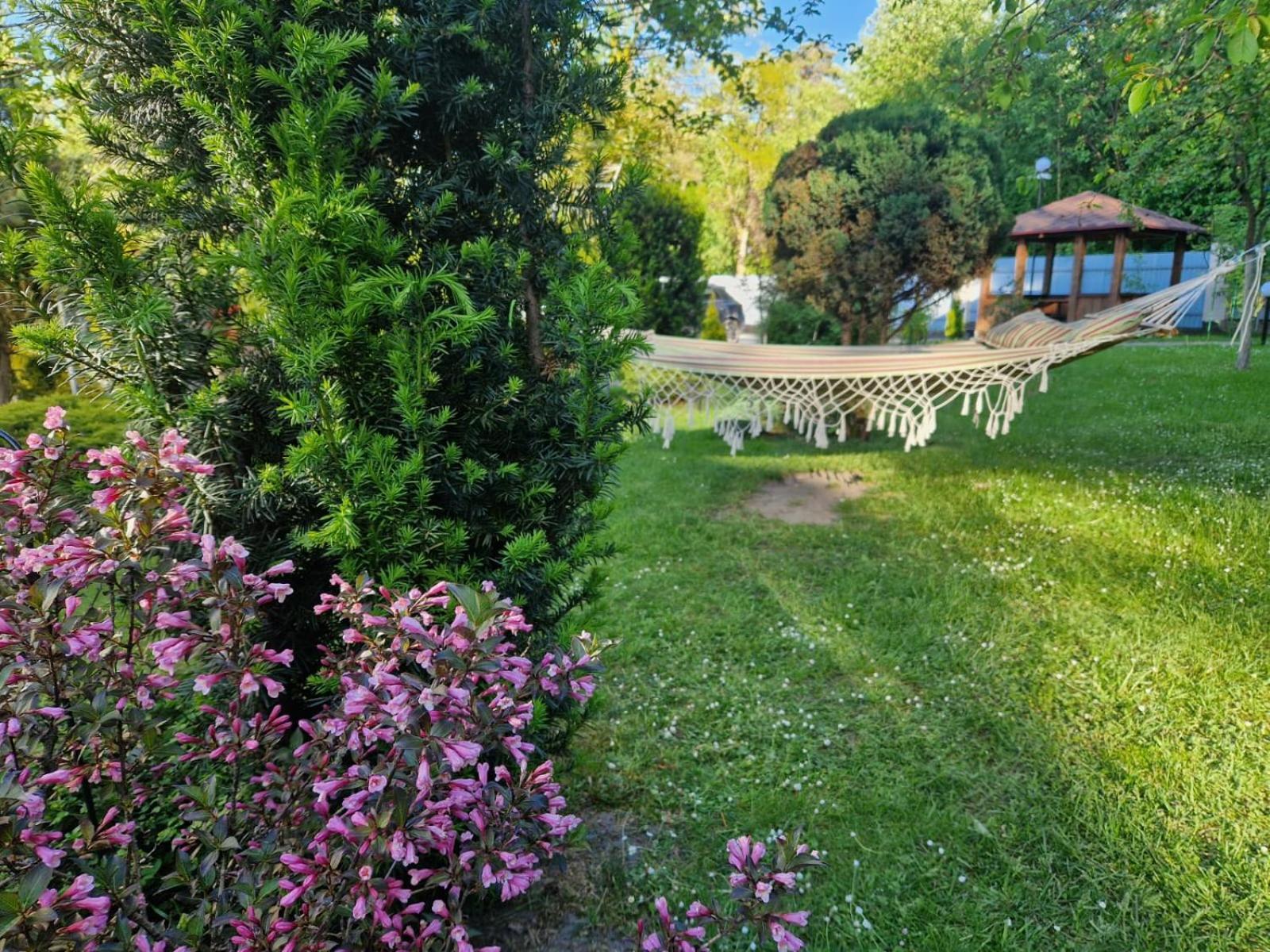 Villa Zenko บรูคโฮโวตชี ภายนอก รูปภาพ